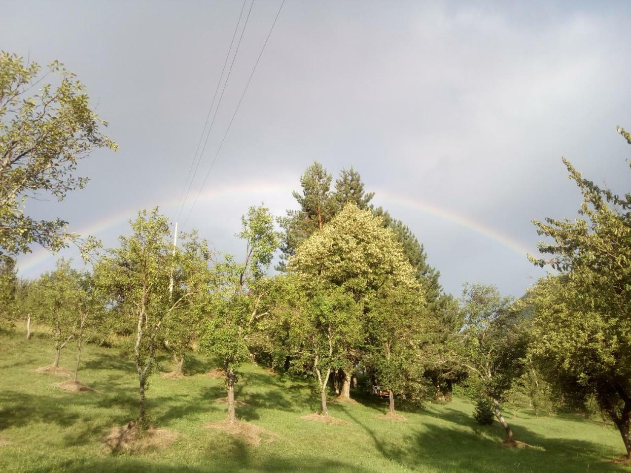 Taramour Cottages. Mojkovac Εξωτερικό φωτογραφία