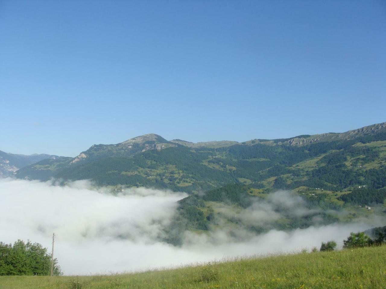 Taramour Cottages. Mojkovac Εξωτερικό φωτογραφία