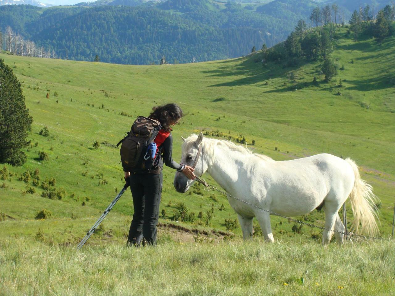 Taramour Cottages. Mojkovac Εξωτερικό φωτογραφία