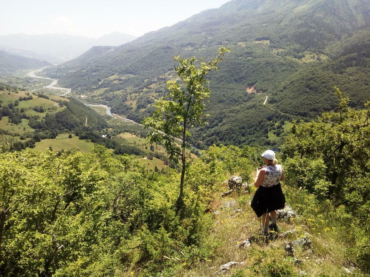 Taramour Cottages. Mojkovac Εξωτερικό φωτογραφία